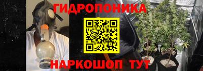 тгк Краснодар