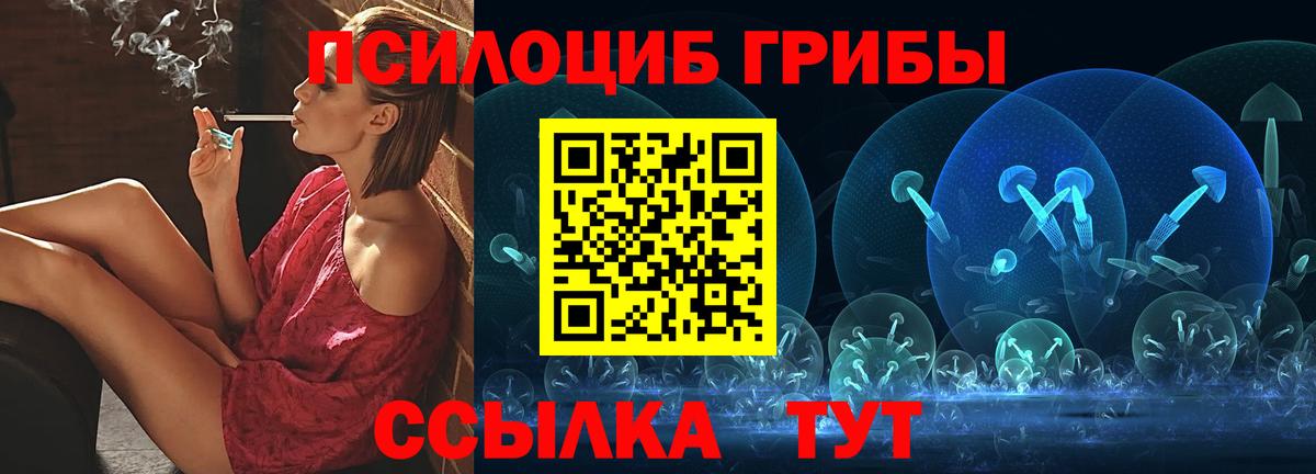 купить наркоту  Галлюциногенные грибы Magic Shrooms  Вход с VPN  Дивногорск 